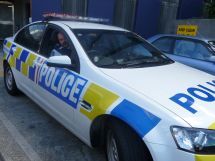 Officer in police car