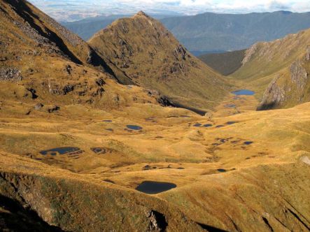View of tussocklands and tarns from the summit of Mt Burns near the Borland Road Fiordland