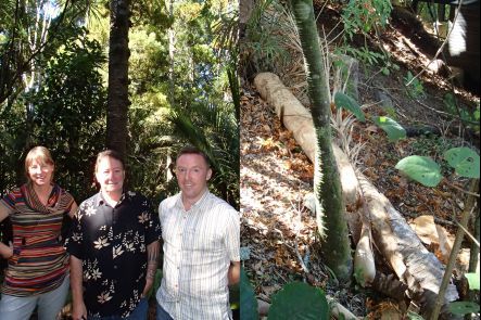 Diane Blomfield, Chris McBride and Nick Waipara, and a felled kauri at Colin McCahon House